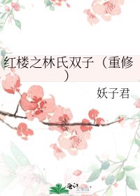 《红楼之林氏双子(重修)》