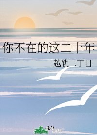 你不在的这二十年