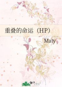 《重叠的命运(HP)》
