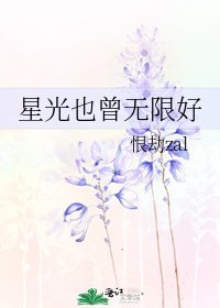 《星光也曾无限好》