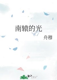 《南辕的光》