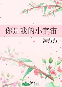 你是我的小宇宙