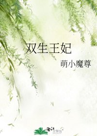 《双生王妃》