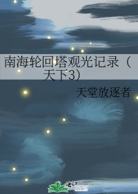 《南海轮回塔观光记录(天下3)》