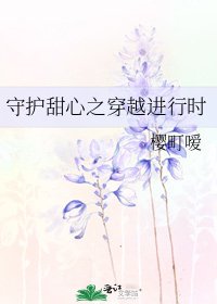 《守护甜心之穿越进行时》