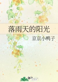 落雨天的阳光