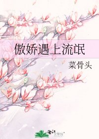 《傲娇遇上流氓》
