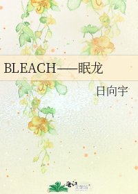 《BLEACH——眠龙》