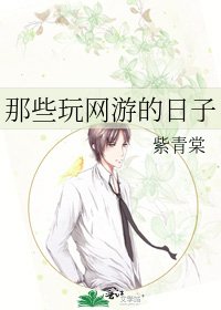 《那些玩网游的日子》