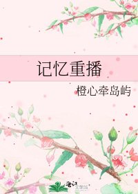 《记忆重播》