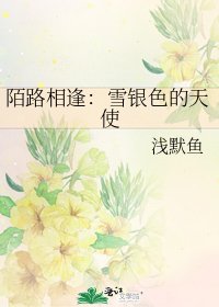 《陌路相逢:雪银色的天使》