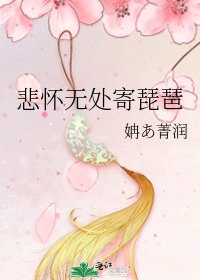 《悲怀无处寄琵琶》