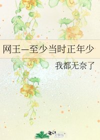 《网王—至少当时正年少》