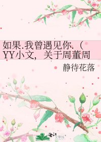 《如果.我曾遇见你.(YY小文,关于周董周杰伦)》