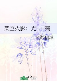 架空火影：光——殇