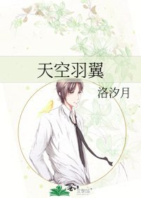 天空羽翼