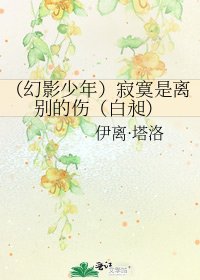 《(幻影少年)寂寞是离别的伤(白昶)》