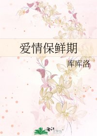 爱情保鲜期