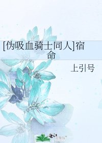 [伪吸血骑士同人]宿命