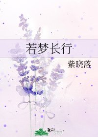 《若梦长行》