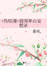 《圆周率の妄想录》