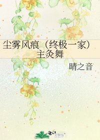 《尘雾风痕(终极一家)主灸舞》