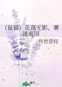 《(鼠猫)花落无影,雾迷南国》