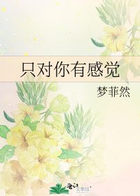 《只对你有感觉》