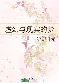 虚幻与现实的梦