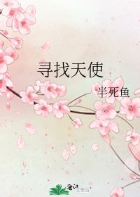 《寻找天使》