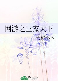 《网游之三家天下》
