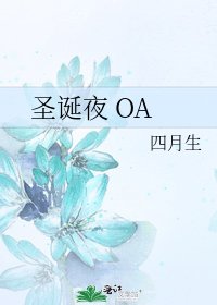 《圣诞夜 OA》