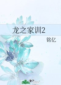 《龙之家训2》