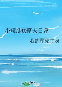 《小短腿tt撩夫日常》