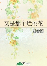 《又是那个烂桃花》
