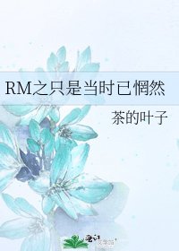 《RM之只是当时已惘然》
