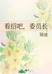 《看招吧,委员长》