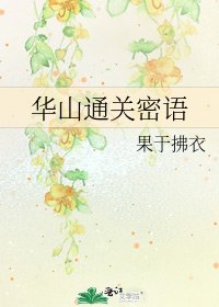 《华山通关密语》