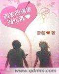 逝去的诺言追忆篇