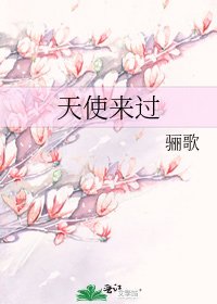 《天使来过》