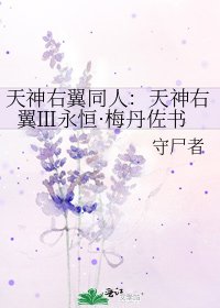 《天神右翼同人:天神右翼Ⅲ永恒·梅丹佐书》