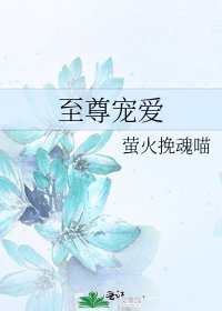 《至尊宠爱》