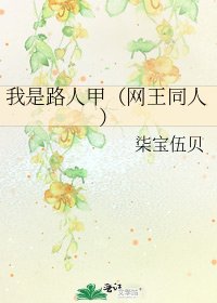 《我是路人甲(网王同人)》