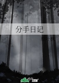 《分手日记》