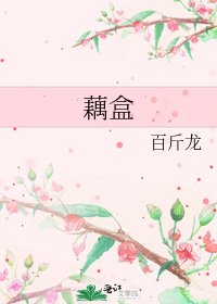 《藕盒》