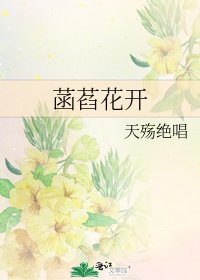 《菡萏花开》
