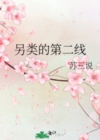 《另类的第二线》