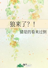 《狼来了?!》