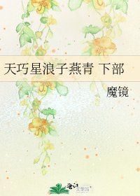 《天巧星浪子燕青 下部》