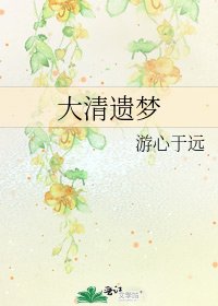 《大清遗梦》
